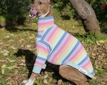 Italian Greyhound Clothes - Paddlepup