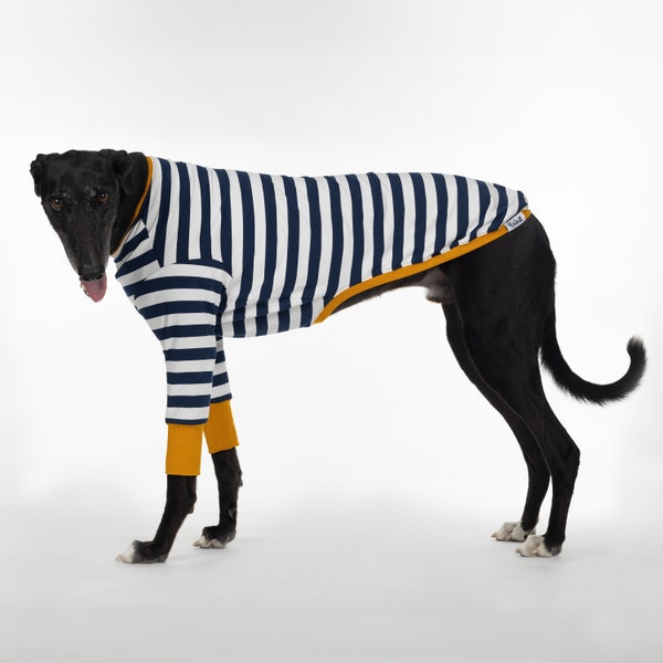Greyhound Clothes - Sailor Mustard