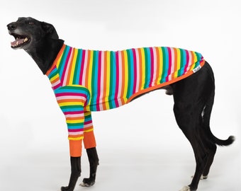 Greyhound Clothes - Sour Patch Pup