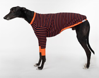 Whippet Clothes - Gator Hound