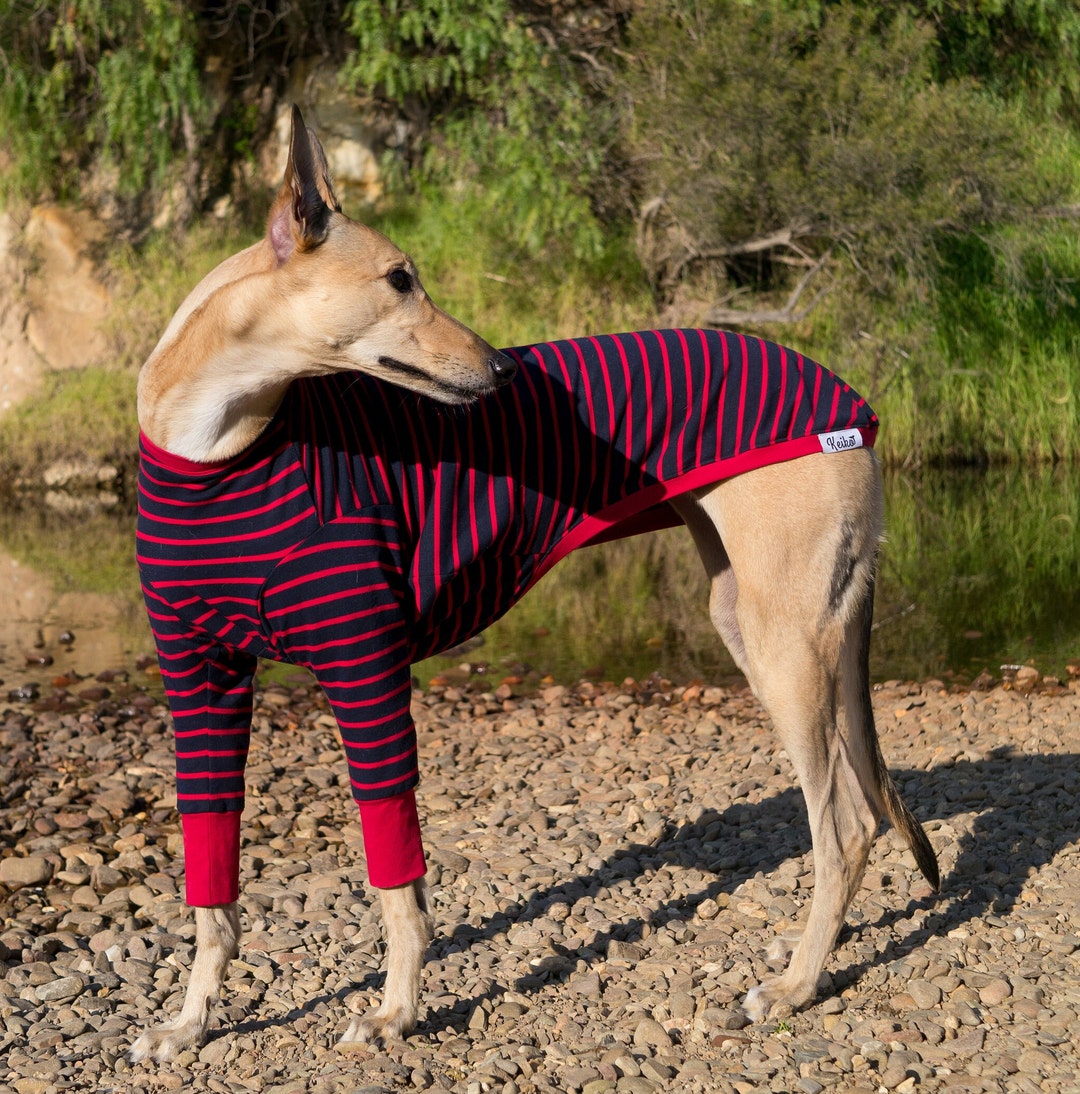 Greyhound Pyjamas – Blaze Runner | Lightweight Warm Cotton Dog Coat ...