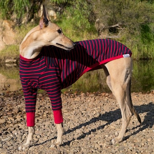 Whippet Clothes - Blaze Runner