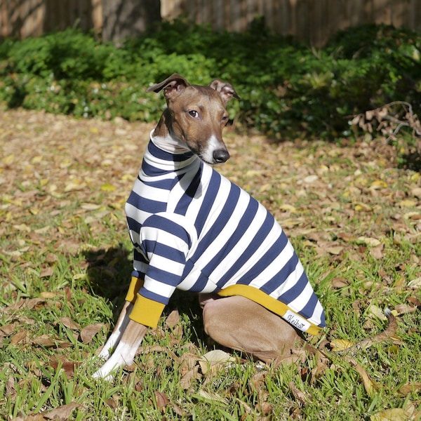 Italian Greyhound Clothes - Sailor Mustard