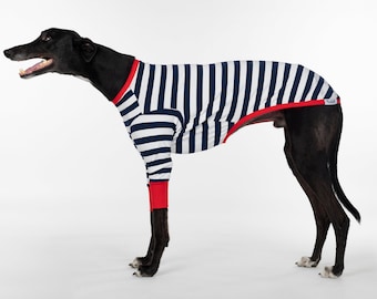 Whippet Clothes - Sailor Rouge