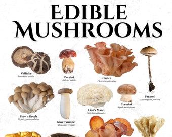 Edible Mushrooms Botanical Poster Set: Kitchen Wall Art