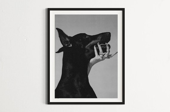 Doberman B&W