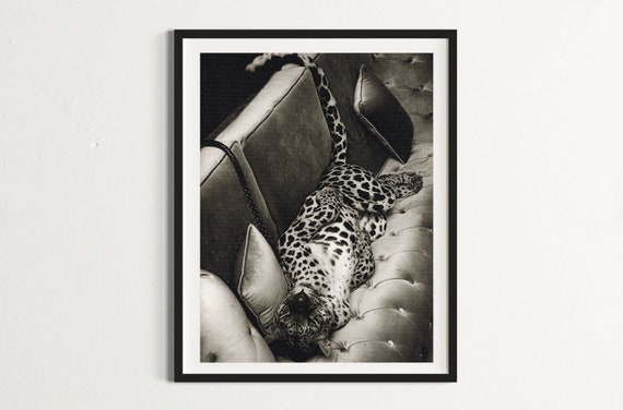 The luxury leopard