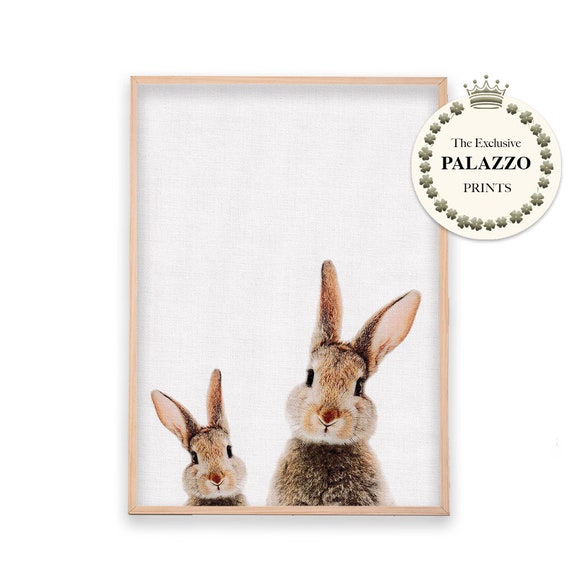 Woodlands Bunny Rabbit cute duo