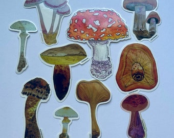 Paddenstoelensticker, verpakking van 10