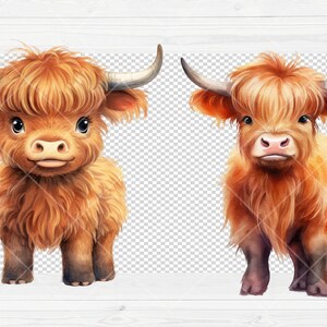 May include: Two watercolor illustrations of cute, fluffy, brown Highland cattle with long horns. The cattle are facing forward and have a friendly expression.