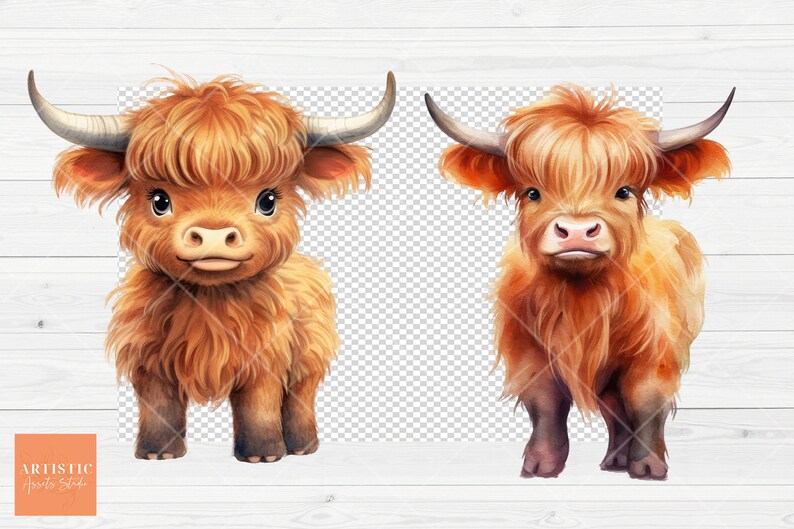 May include: Two watercolor illustrations of cute, fluffy, brown Highland cattle with long horns. The cattle are facing forward and have a friendly expression.