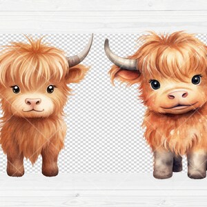 May include: Two watercolor illustrations of cute brown Highland cattle with fluffy hair and big eyes. The cattle are standing on a white wood background.