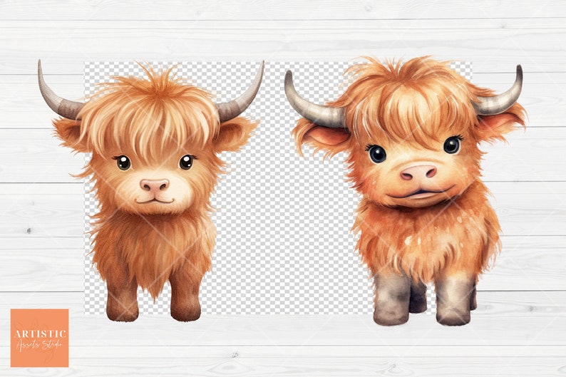 May include: Two watercolor illustrations of cute brown Highland cattle with fluffy hair and big eyes. The cattle are standing on a white wood background.