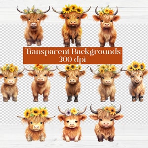 Cute Baby Highland Cow With Flower Crowns | Watercolor Clipart | Boho ...
