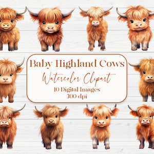 May include: Ten digital watercolor illustrations of baby Highland cows. The cows are brown and white with fluffy fur. The images are 300 dpi.
