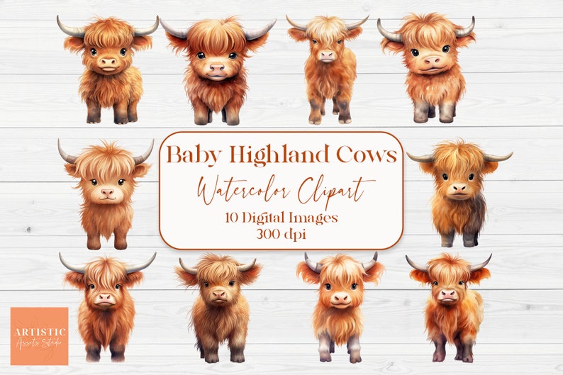 May include: Ten digital watercolor illustrations of baby Highland cows. The cows are brown and white with fluffy fur. The images are 300 dpi.