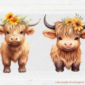 Cute Baby Highland Cow With Flower Crowns | Watercolor Clipart | Boho ...
