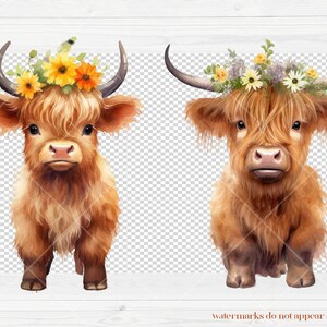 Cute Baby Highland Cow With Flower Crowns | Watercolor Clipart | Boho ...
