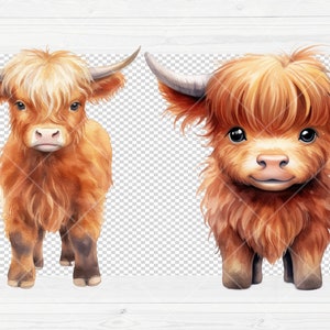 May include: Two digital illustrations of a Highland cow with brown fur and a fluffy mane. The cow on the left is standing with its legs spread apart. The cow on the right is standing with its legs together. Both cows are looking at the camera.