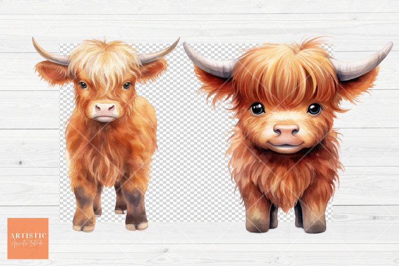 May include: Two digital illustrations of a Highland cow with brown fur and a fluffy mane. The cow on the left is standing with its legs spread apart. The cow on the right is standing with its legs together. Both cows are looking at the camera.