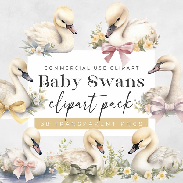 Baby Swans Clipart | Swan Clipart | Instant Download | Baby Shower | Cute Swans |Floral |Nursery | Transparent PNG | Commercial Use |