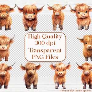 May include: Ten digital illustrations of Highland cattle, also known as Scottish Highland cattle. The cattle are brown and white with long, shaggy hair. The illustrations are in a cartoon style and have a transparent background.