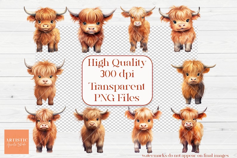 May include: Ten digital illustrations of Highland cattle, also known as Scottish Highland cattle. The cattle are brown and white with long, shaggy hair. The illustrations are in a cartoon style and have a transparent background.