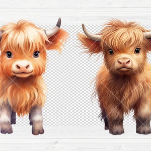 May include: Two brown and white Highland cattle calves with fluffy fur, standing on a white wood background. The calf on the left is smiling, while the calf on the right has a more serious expression.
