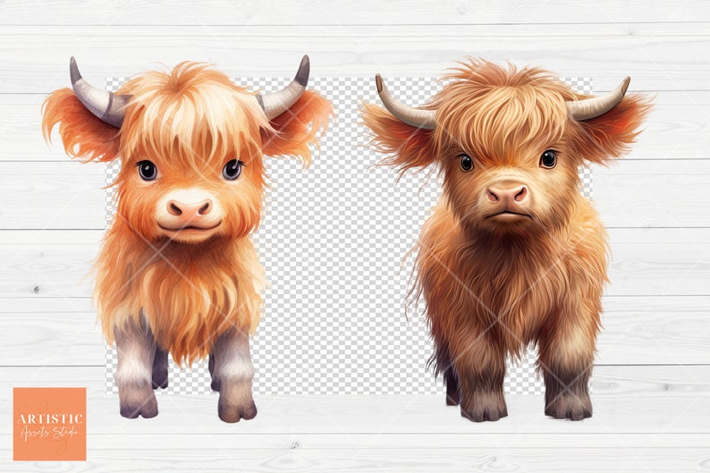 May include: Two brown and white Highland cattle calves with fluffy fur, standing on a white wood background. The calf on the left is smiling, while the calf on the right has a more serious expression.