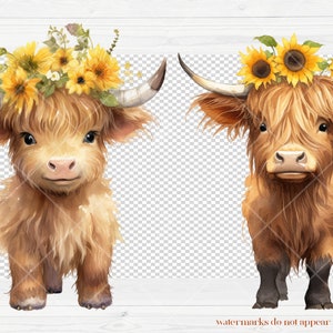 Cute Baby Highland Cow With Flower Crowns | Watercolor Clipart | Boho ...