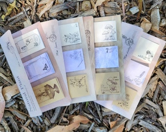 Vintage memo pad: Native flowers, Mushrooms, Lily, Terrarium | Bullet journal, Planner, Junk Journal, Scrapbook supply