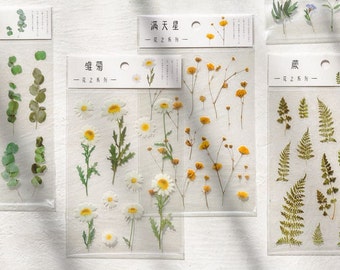 1 sheet Transparent flower and plant stickers: Iris, Baby Breath, Eucalyptus, Fern, Clover, Daisy| Bullet Journal, planner stickers