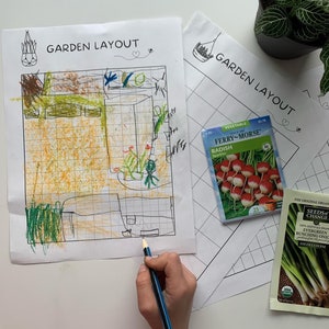 Puede incluir: La mano de un ni&ntilde;o dibuja en una hoja de dise&ntilde;o de jard&iacute;n con un l&aacute;piz azul. Se ven dos paquetes de semillas, uno para semillas de r&aacute;bano y otro para cebollas en manojo. Los paquetes de semillas est&aacute;n etiquetados como "Ferry-Morse" y "Seeds of Change".