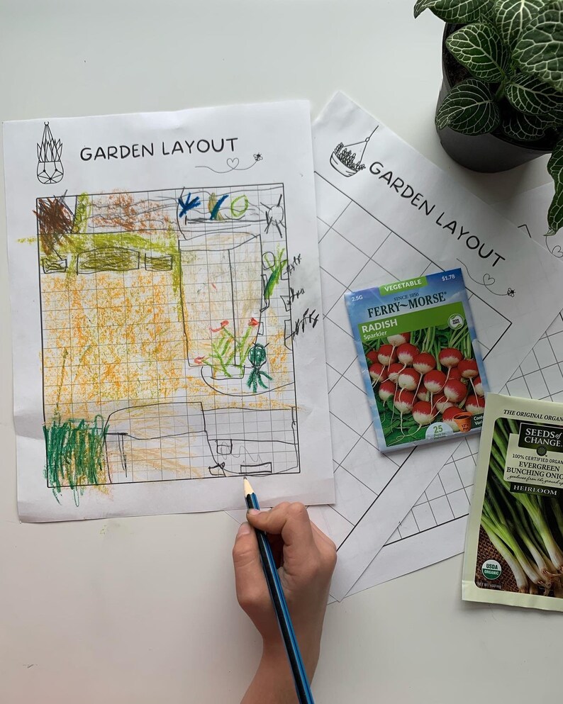 Puede incluir: La mano de un ni&ntilde;o dibuja en una hoja de dise&ntilde;o de jard&iacute;n con un l&aacute;piz azul. Se ven dos paquetes de semillas, uno para semillas de r&aacute;bano y otro para cebollas en manojo. Los paquetes de semillas est&aacute;n etiquetados como "Ferry-Morse" y "Seeds of Change".