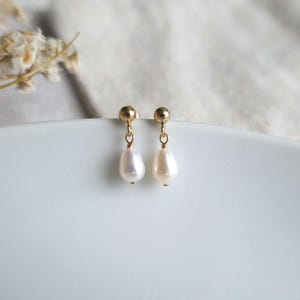 May include: A pair of gold stud earrings with a single white pearl dangling from each stud.
