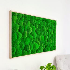 Moosbild mit Kugelmoos - hochwertiges Wandbild mit Moos - Moosbild mit Logo - Moosbild Wohnzimmer - Wandbilder fürs Büro - Moosbild groß