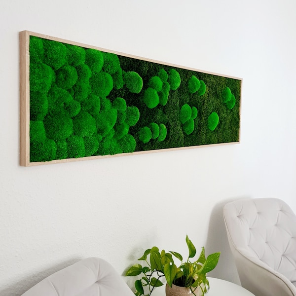 Moss picture - moss picture gradient - moss picture with forest and ball moss - moss picture rectangular - moss picture in a wooden frame - acoustic picture with moss