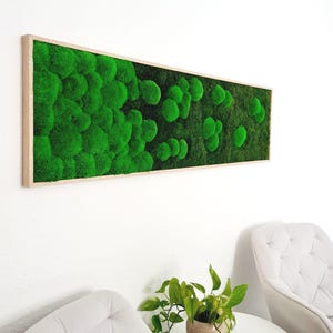 Moosbild Verlauf - Moosbild - Moosbild Wand - Moosbild Wohnzimmer - Wandbilder fürs Büro - Wanddeko Natur - Moos Wandbilder - Moosbild groß