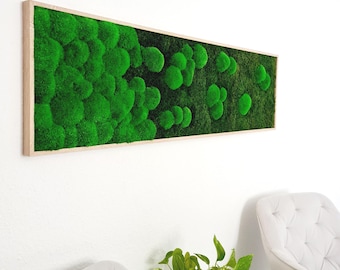 Moosbild Verlauf - Moosbild - Moosbild Wand - Moosbild Wohnzimmer - Wandbilder fürs Büro - Wanddeko Natur - Moos Wandbilder - Moosbild groß