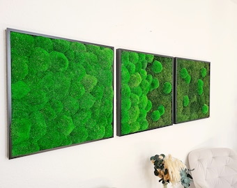 Moss picture - Moss picture set gradient - Moss picture square - Moss picture in wooden frame - Wall picture set of 3 - Picture set of 3 - Moss picture set