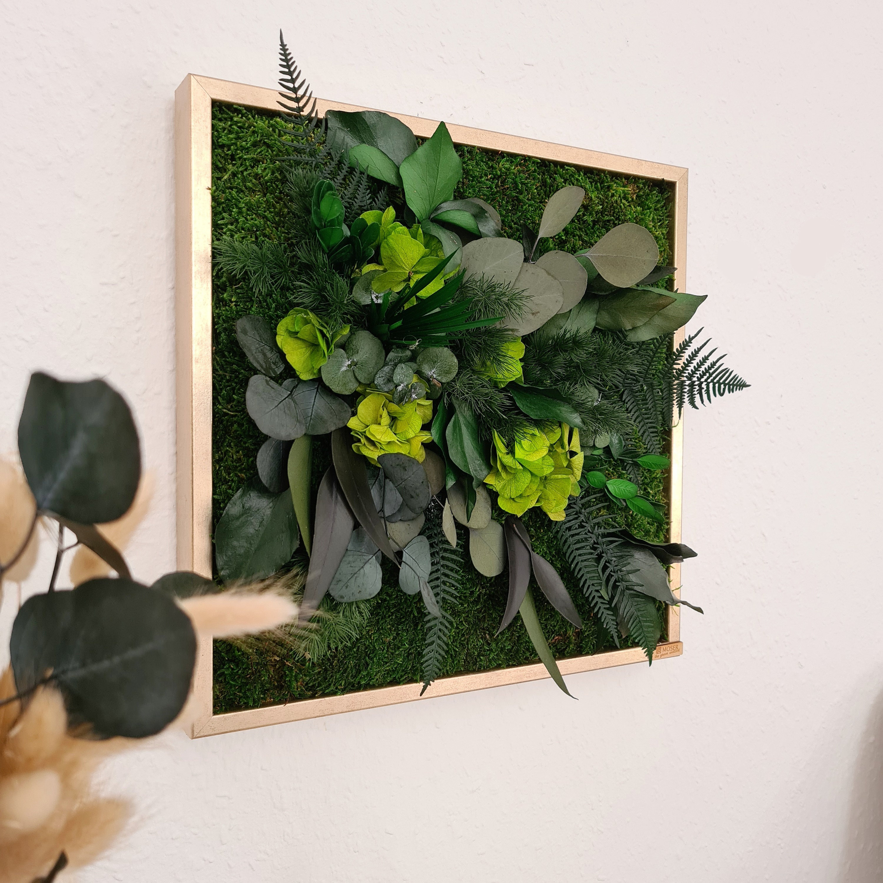 Plant picture - Jungle picture - Jungle wall picture - Green wall pictures - vertical garden living room - wall picture with real plants -