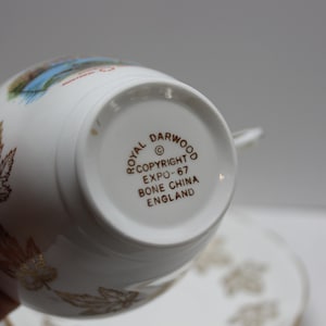 Tea cup and Saucer Royal Darnwood Bone China