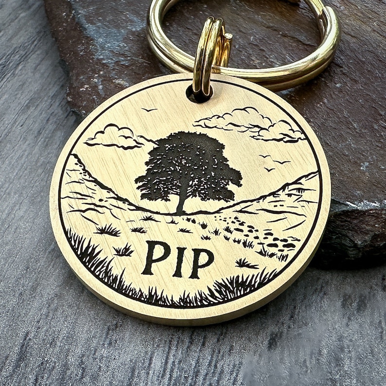 May include: A brass dog tag with a black engraved image of a tree in a valley with the word "PIP" underneath. The tag is attached to a gold key ring.