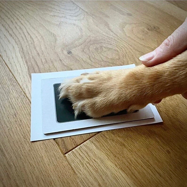 Paw Print Kit For Dogs Paw Print Clean Touch Ink Pad, Dog Or Cat Pet ...