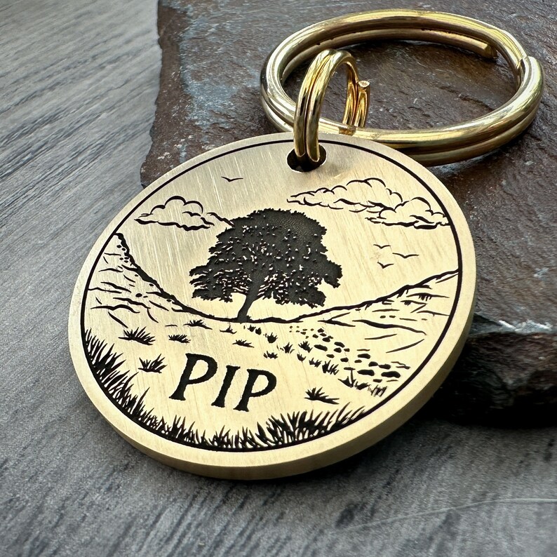 May include: Brass dog tag with a laser engraved design of a tree, hills, and paw prints. The tag reads "PIP".