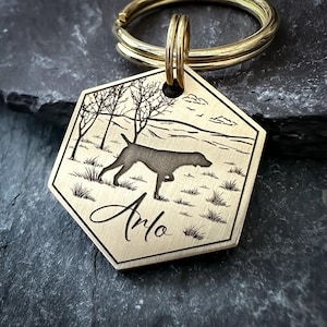 Op de afbeelding: Een zeshoekige, messingkleurige metalen huisdierpenning met een gegraveerd silhouet van een hond in een veld, met bomen en heuvels op de achtergrond. De naam Arlo is onderaan in een cursief lettertype gegraveerd. Een goudkleurige metalen ring is bevestigd.