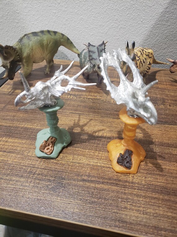 Ceratopsian Skull on a Display/stand - Etsy