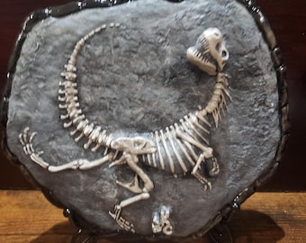 T-Rex dinosaur fossil display