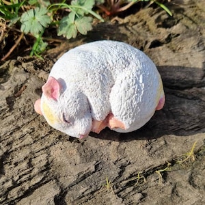 3D PET PORTRAIT// Resin hamster portrait, Painted resin pet portrait, Eco friendly resin, Pet owner gift, Hamster ornament, Animal lover