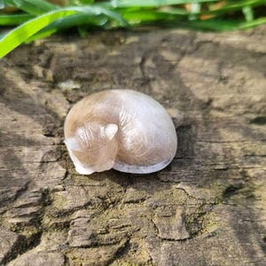 Cat Memorial Fur and Ash Keepsake, Eco Friendly Pet Bereavement Gift image 3